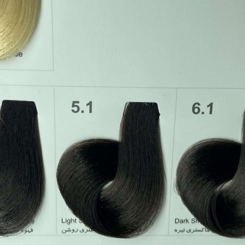 رنگ مو هاینس مناسب مو های کراتین شده